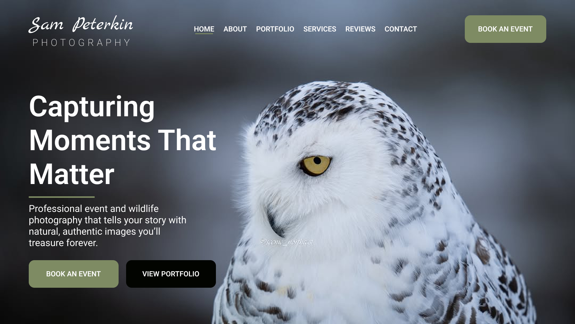 Homepage Hero Design Created in Figma for Sam Peterkin Photography
